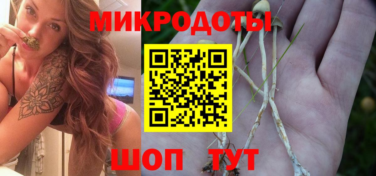 Аргун  Галлюциногенные грибы MAGIC MUSHROOMS  Вход с VPN 