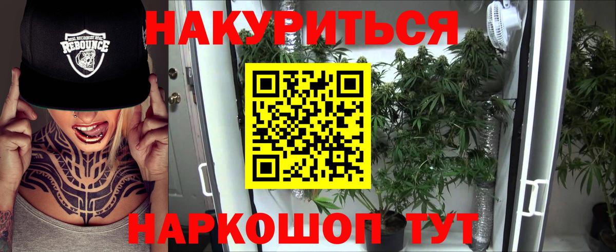 Каннабис White Widow  МАРИХУАНА планчик  Аргун  Вход с VPN 